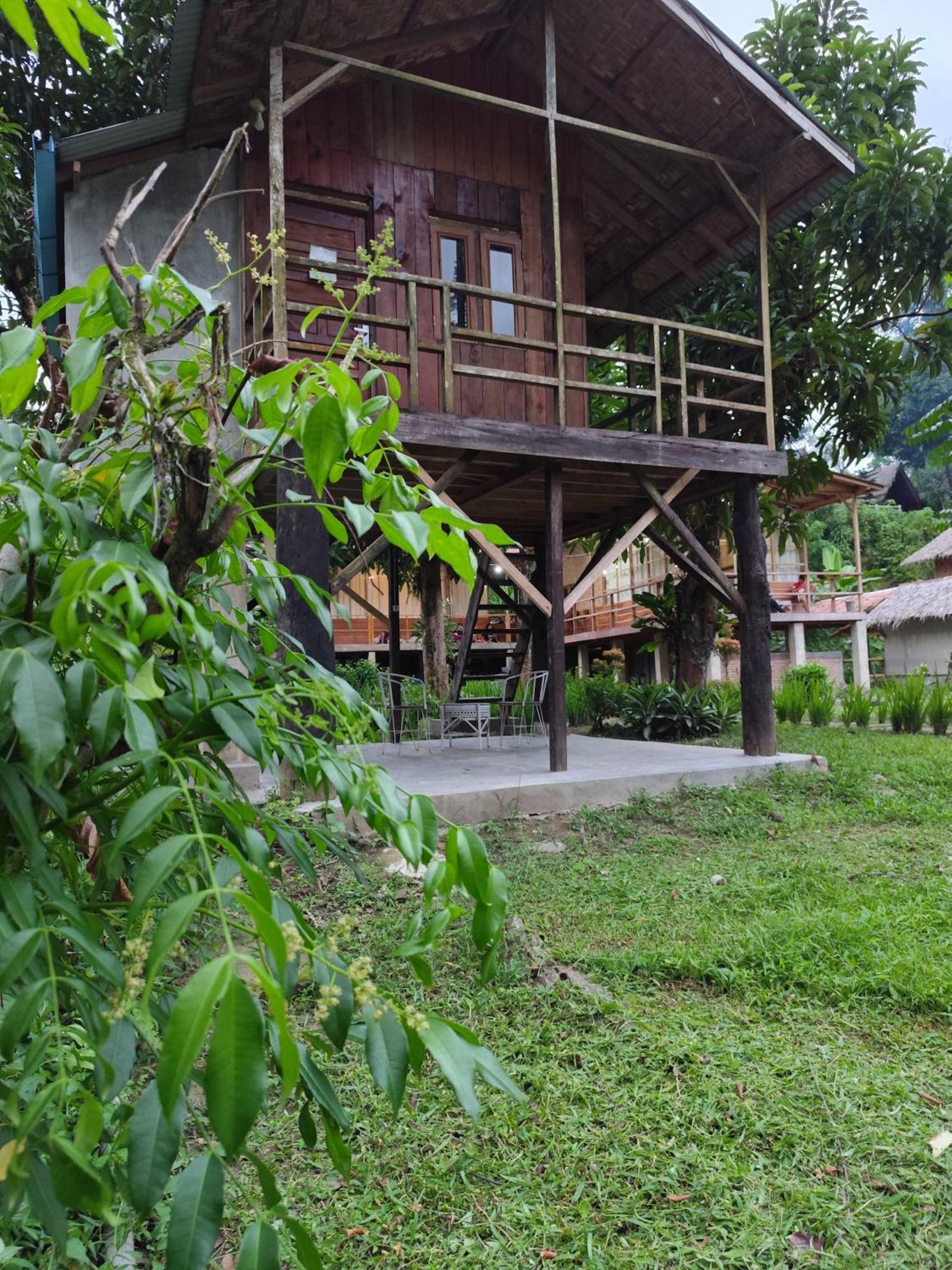 Bua Guesthouse Tangkahan Eksteriør billede